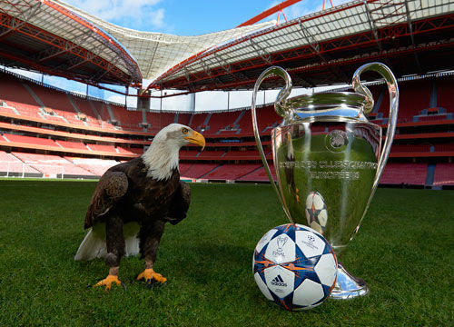 足协公布新赛季赛历：中超3月6日开赛，世界杯期间正常进行（足协发布新赛季赛程：中超3月6日打响，世界杯期间照常进行）